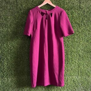 Liz Claiborne Maroon Textured Knit Dress Office